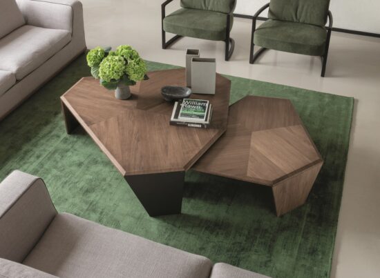 Porada Tortuga Coffee Table 01