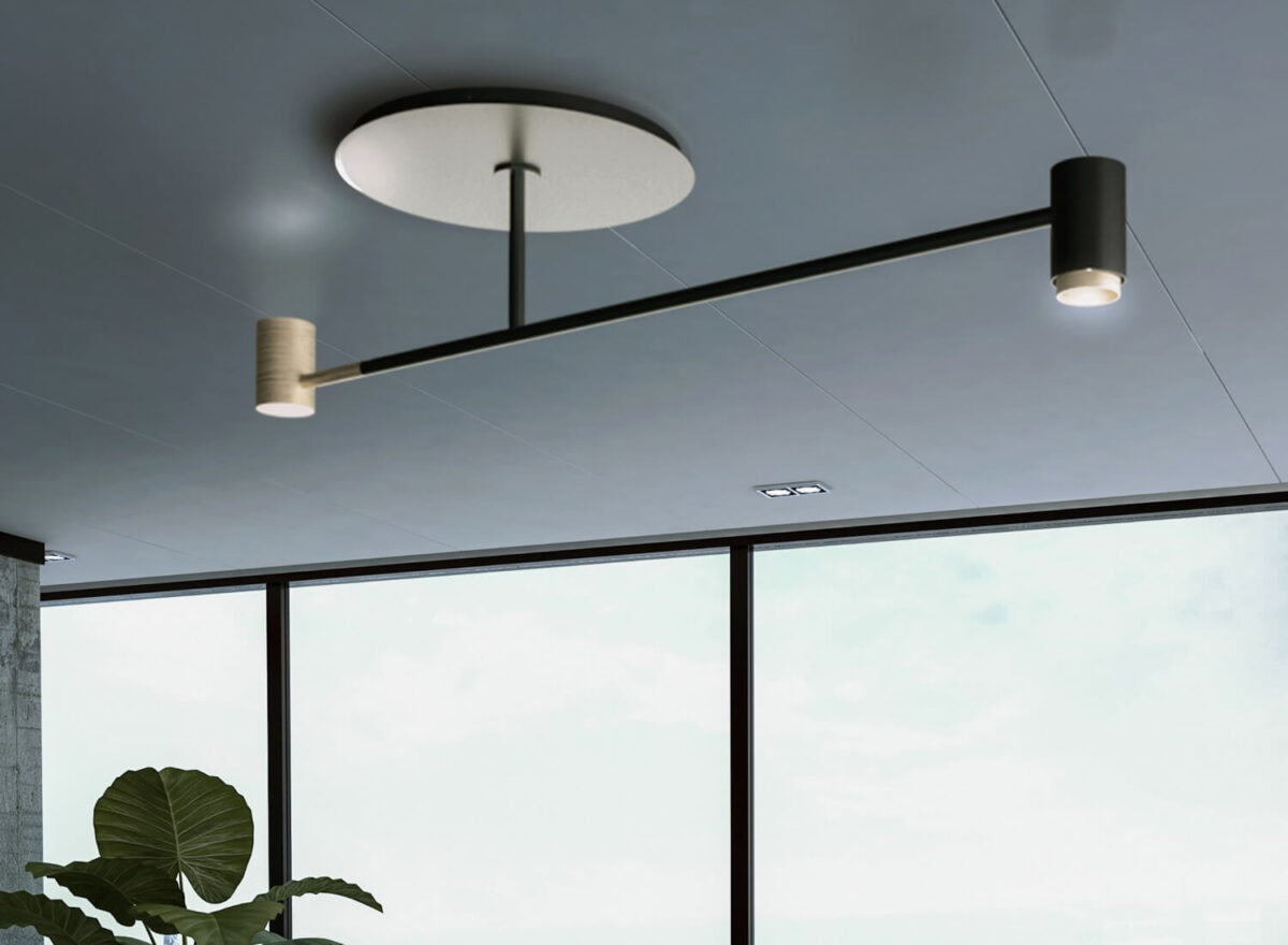 Contardi Melanocetus Light 01