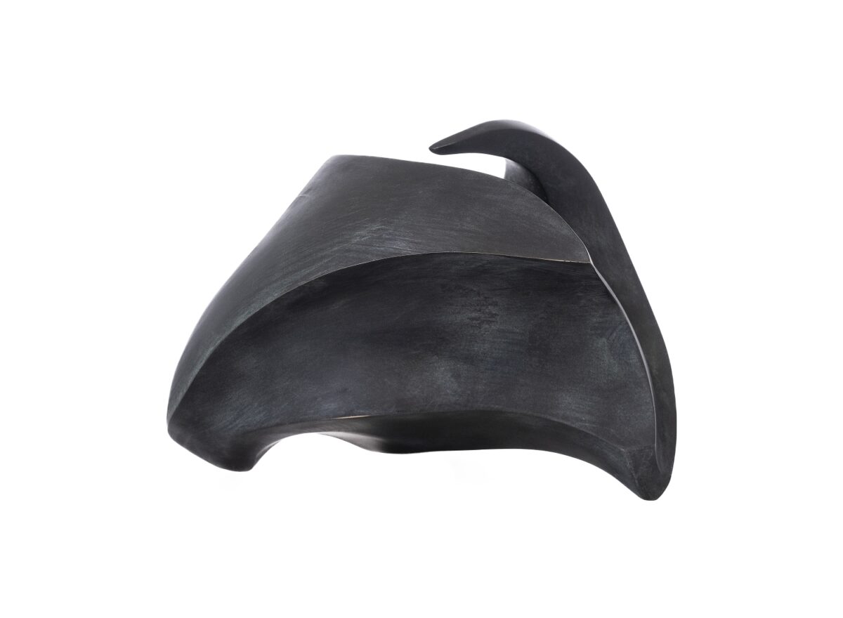 Gardeco Fluid Complexity Bronze Sculpture GND GA335 05