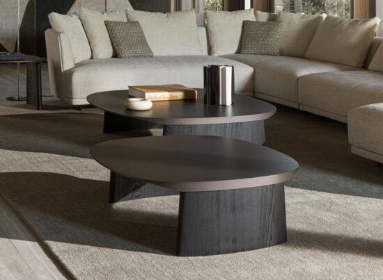 Molteni C Cleo Coffee Table 01