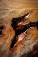 Riva1920 Kauri Stump Coffee Table STILL LIFE 01