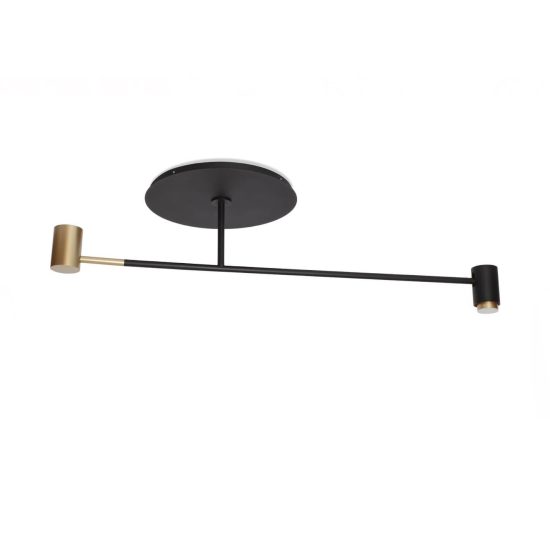 Contardi Melanocetus Light STILL LIFE S 01