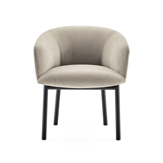 Gallotti Radice Livrette Dining Armchair STILL LIFE S 01