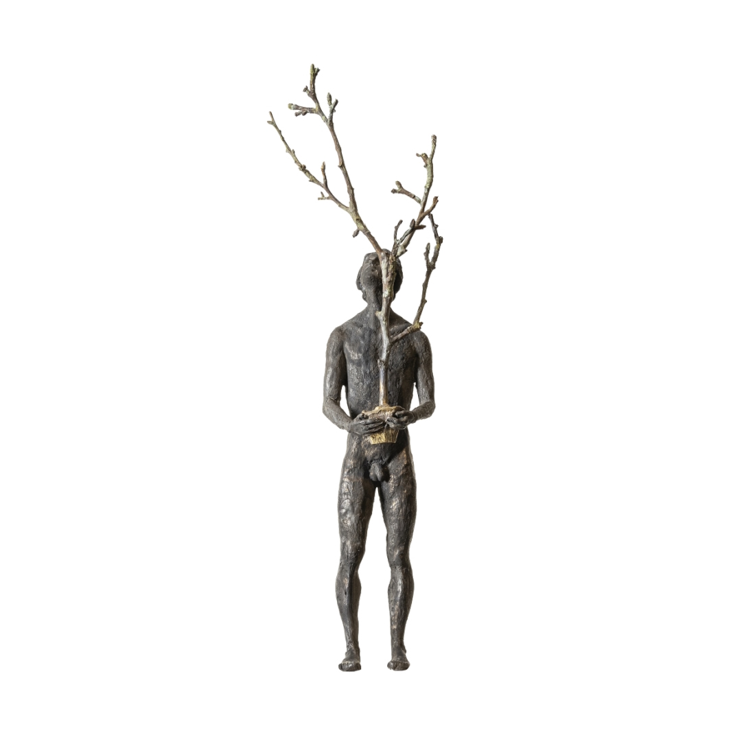 Gardeco Thought III The Tree Bronze Sculpture GND GA328 STILL LIFE S 01