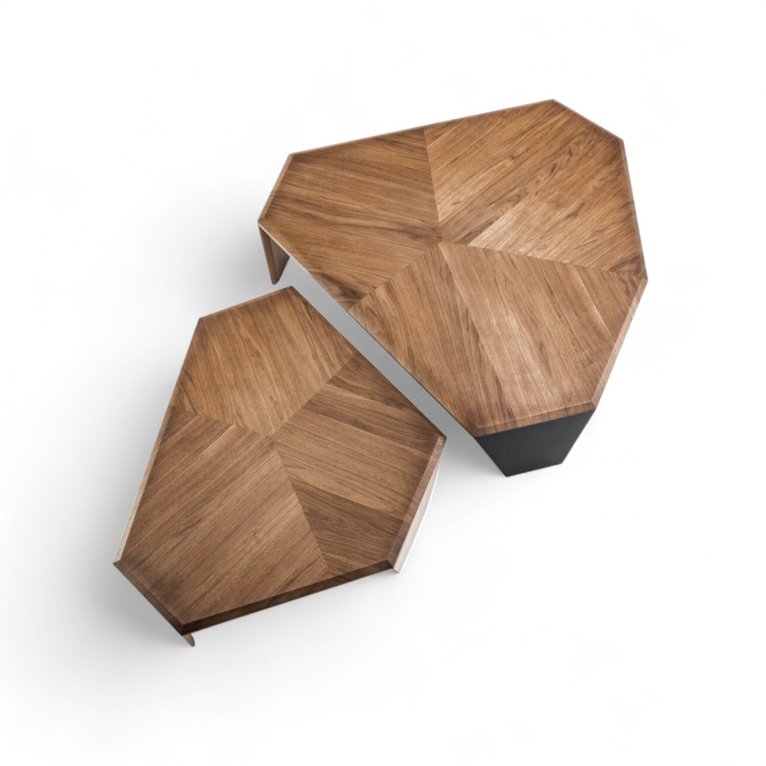 Porada Tortuga Coffee Table STILL LIFE S 003